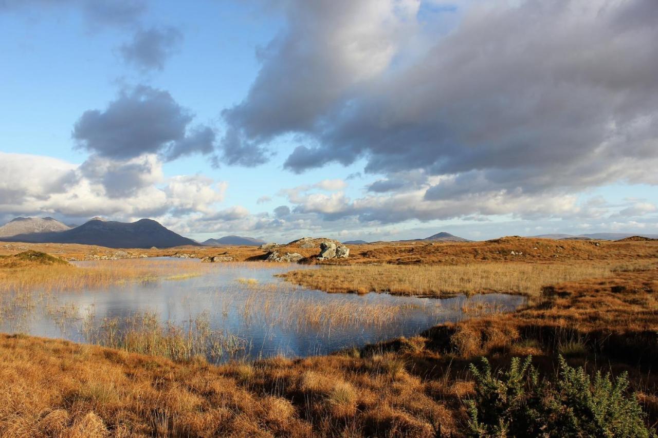 Clifden Bay Lodge Exteriör bild